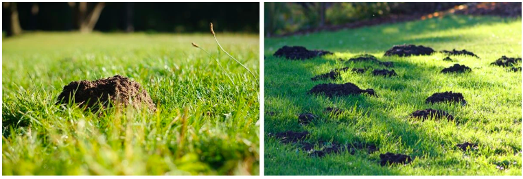 Snímka obrazovky 2025-07-10 o 11.24.14